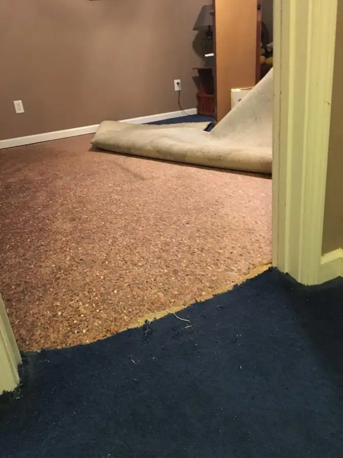 Carpet pad removal revealing water damage during Water Mitigation Services in Murrieta