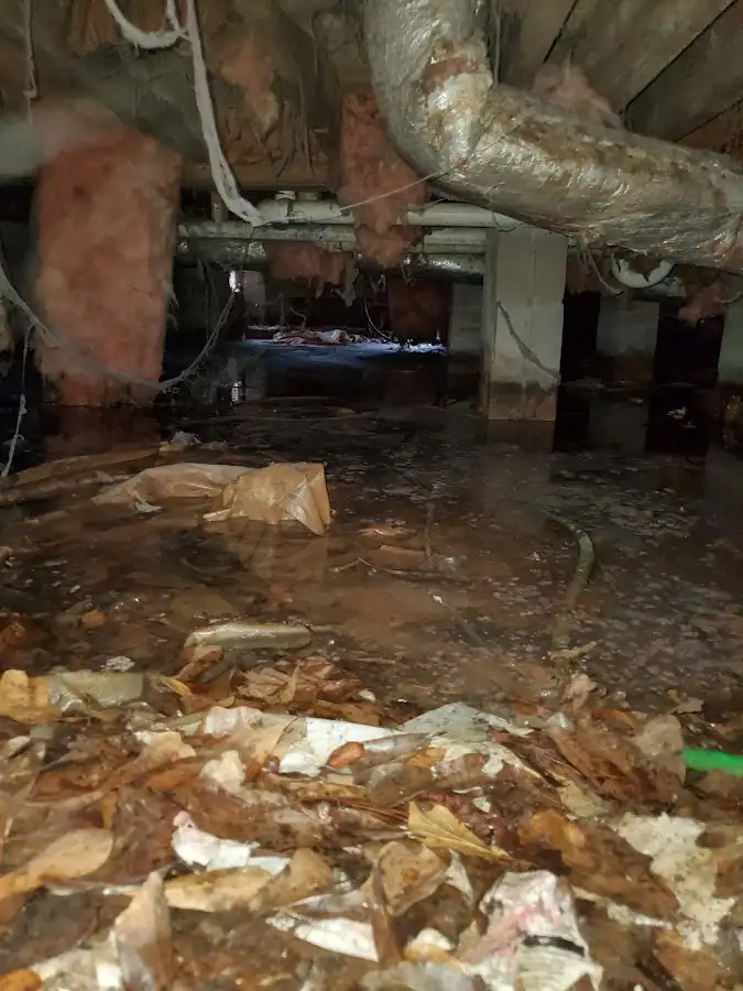 Crawl space flood assessment for Commercial Water Damage Restoration in Murrieta